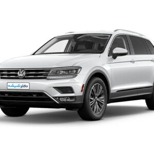 شیشه تیگوان