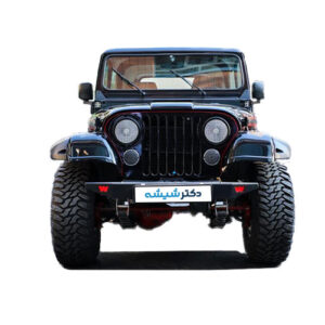 شیشه جیپ رنه گید